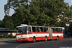 B961_6359.JPG