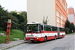 B961_6368.JPG