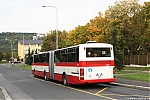 Název souboru=B961_6370.JPG
Velikost souboru=459KB
Rozměry=1200x800
Datum přidání=02. Březen 2021 B961_6370.JPG
