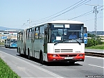 C943.jpg