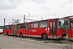 C943_9504.jpg