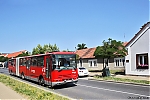 C943_9504~0.jpg