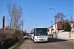 C954_2S8-0378.jpg