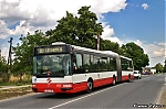 CItybus_6522.jpg
