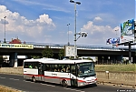 CN12_9288.jpg