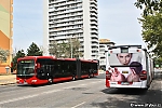 Capacity_4905.jpg