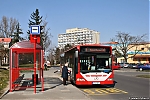 Citaro_4S4_9957.jpg