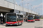 Citaro_W-2438-LO.jpg