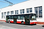 Citelis_156.JPG