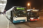 Citelis_1990.jpg