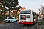 Název souboru=Citelis_3502.jpg
Velikost souboru=364KB
Rozměry=1200x800
Datum přidání=04. Listopad 2015 Citelis_3502.jpg
