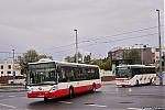 Citelis_3511.jpg