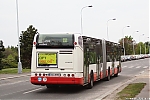 Citelis_6599.JPG