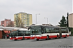 Název souboru=Citelis_6599.jpg
Velikost souboru=199KB
Rozměry=1200x800
Datum přidání=11. Duben 2016 Citelis_6599.jpg