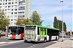 Crossway_33122.JPG