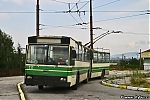 DAC_111.jpg