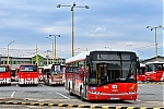 Dpmp-1_28129.jpg
