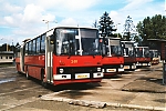 Dpmp-1_28229.jpg