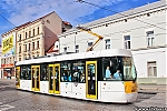 Evo1_0033.jpg