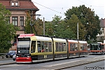 GT8N_1103.jpg