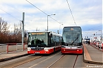 IMG_3686.JPG
