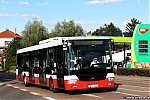 IMG_8640.jpg