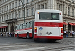 IMG_9636.JPG