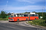 Ik280_4346_190.jpg