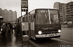 Název souboru=Ikarus280_4477.jpg
Velikost souboru=215KB
Rozměry=960x627
Datum přidání=24. Duben 2015 Ikarus280_4477.jpg