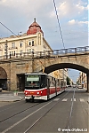 KT8_9061.jpg