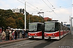 KT8_9064.jpg
