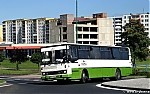 Kavka.jpg