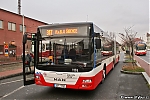 MAN_1174~0.jpg