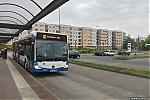 MB_Citaro_261.jpg