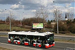 NB12_3619.jpg