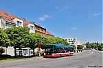NB12_3687.jpg