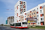 NB18_6621.jpg