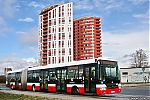 NB18_6855.jpg