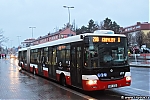 NB18_6919.jpg