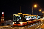 NB18_6939.jpg