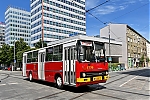 Pl_1735_28129.jpg