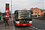 SOR_3594.jpg