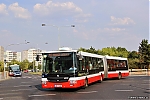 SOR_6838.jpg