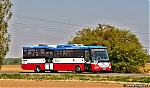 SOR_BN12.jpg