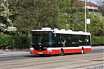 SOR_NB12_3629.JPG
