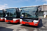 SOR_NB12_3923.jpg