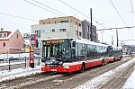 SOR_NB12_4055.jpg