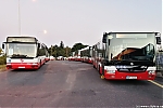 SOR_NB12_4056.jpg