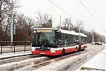 SOR_NB18_5010.JPG