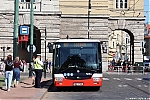 SOR_NB18_5054.JPG